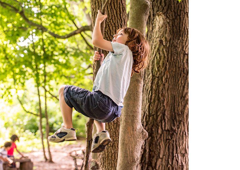 Enfant qui grimpe à un arbre, symbole du développement moteur et de la déconnexion numérique