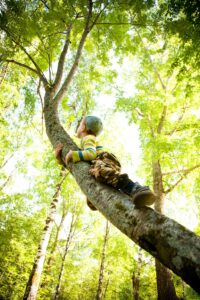 Enfant qui grimpe à un arbre pour développer sa motricité et son équilibre