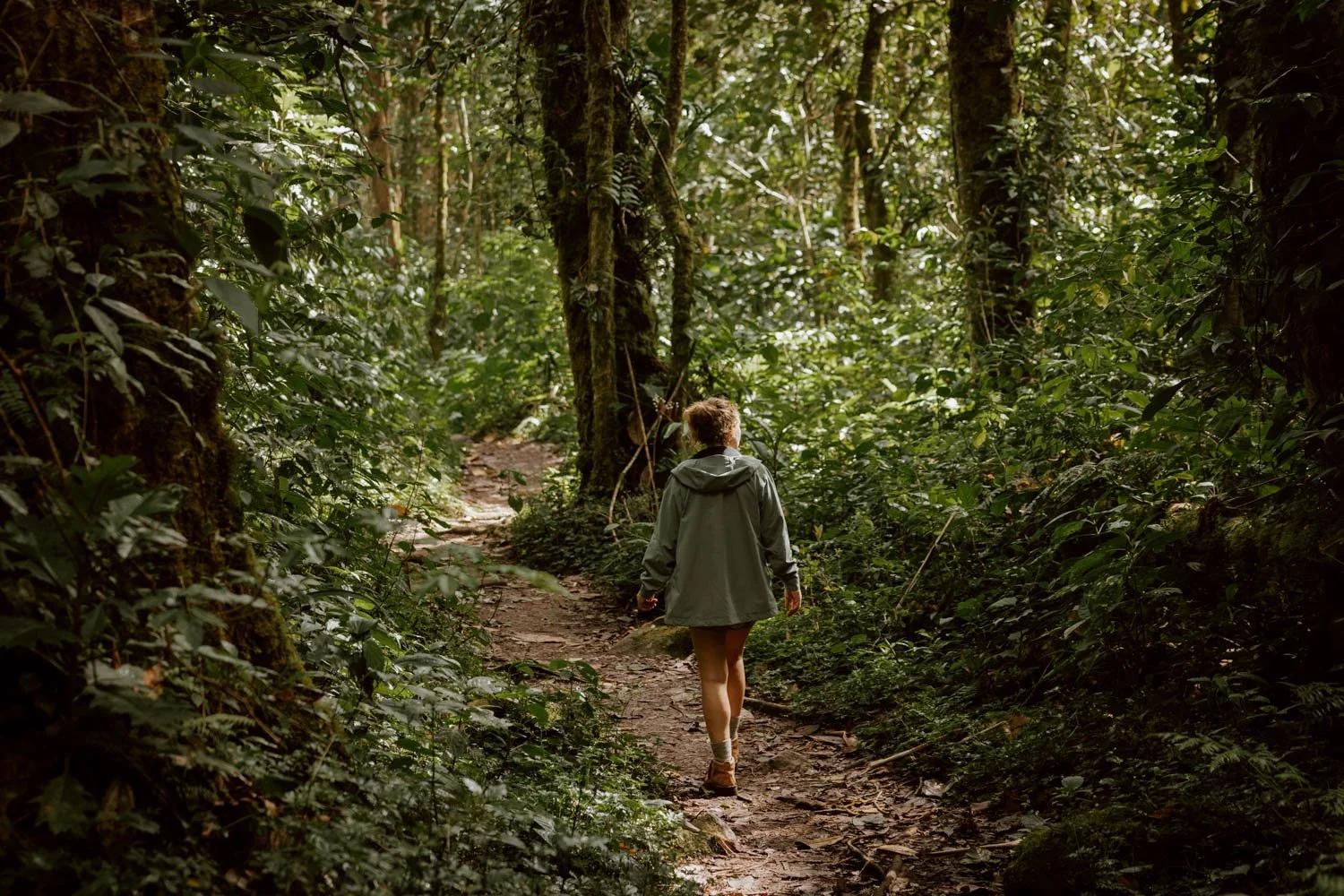 Personne marchant seule en forêt pour se reconnecter à elle-même et pratiquer la déconnexion numérique