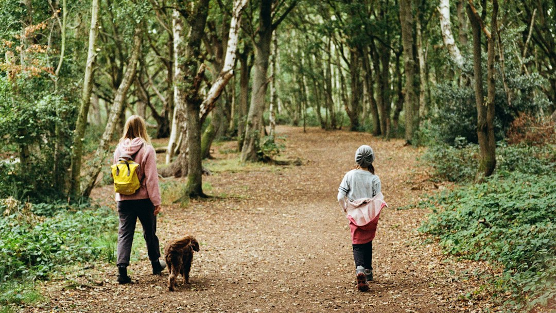 Une adulte et un enfant se promènent en forêt — photo d’ambiance.